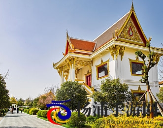 肌肌对肌肌通30分的|提升效率的科学身体调节新趋势-3