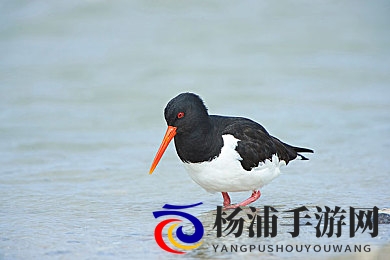 健身房被教练3p喷水了|运动场所内教练水射三人事件-1