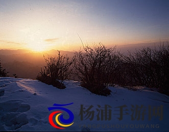 黄色软件网站3.0.3免费苹果手机版装扮2023苹果|2023最新免费苹果手机装扮体验-1