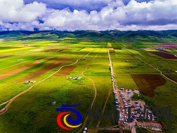 艳星lisaann办公室大战|明星lisaann职场纷争全面爆发-2