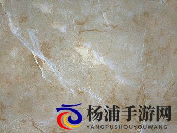 啦啦啦www|网络用语新趋势引领表达变革