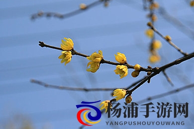 男男十八禁 啪啪网站|成人激情互动平台推荐