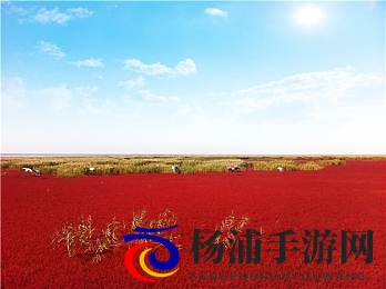 谢俞上课夹震蛋高潮|谢俞课堂中震动乐趣体验