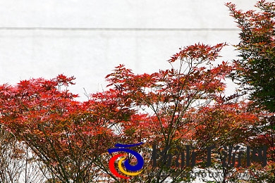 游泳池里被强好爽H|公共场所安全隐患亟待重视-2