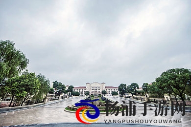 禁止18岁|青少年内容安全新策略促行业升级-2