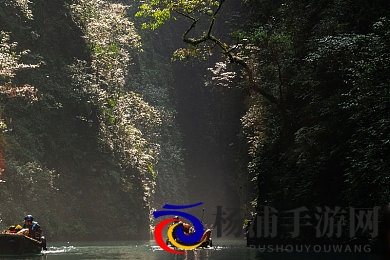 张雨欣惊艳的凹造型图片|张雨欣展示别样魅力的精彩照片