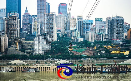 欧美人与物动XXXZZZZ|全球文化冲突引发伦理法律新思考