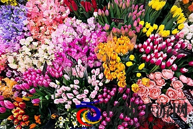 免费 男同   深夜夜行网站|行业新趋势促成人娱乐内容革新-2