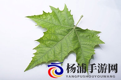 同性Gay   免费|共享平等爱心免费体验-2