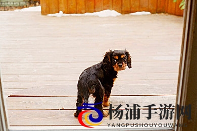 趴在妈妈身上猛烈耸动|依偎在妈妈怀中激烈颤抖-2