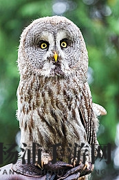 黑料社|游戏内幕大揭示未来新作或迎重大突破-3