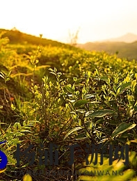 揉 啊 嗯～出水了美瓷|手工揉捏陶瓷释放出迷人光彩