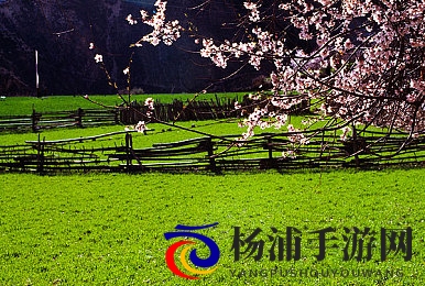 极端成熟的性别自由|天赋异禀的性别解放之路