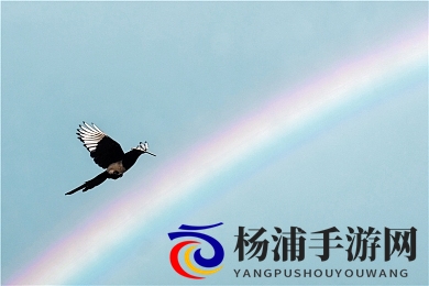 爽 躁多水 快 深点小软件|尽情释放热情体验快速便捷小程序-3