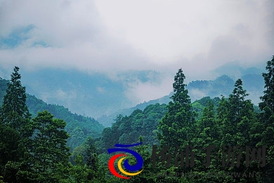 20岁帅小伙Gay男男同志|游戏推动多元包容新潮流-2