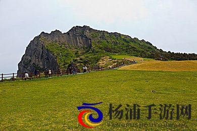 张婉莹暑假作业|张婉莹暑假任务完成情况-2