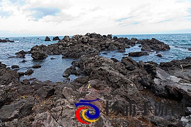 日韩欧美一卡二卡三卡|创新融合引领卡牌游戏新潮流-2