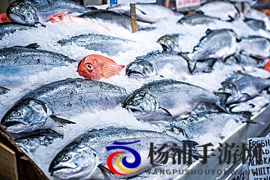 一级爱爱|初级亲密关系的甜蜜时光-2