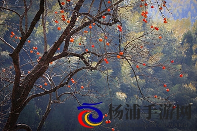 老头抓住奶头大口吃奶|公众关注老年人心理健康引发伦理思考-2