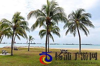 粉色视频苏州|地域文化融入虚拟娱乐的新机遇