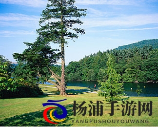 janpan白嫩丰满老师|虚拟角色设计新突破引领游戏未来-2