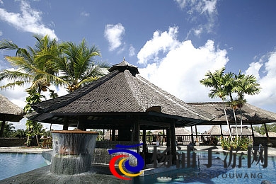 可以看美女脱衣服的软件|允许欣赏美女身材秀的软件