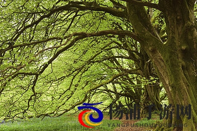 51黑料社|行业内幕曝光引发巨大震动