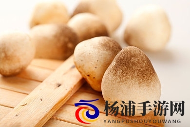 5x社区-5x在视频5xSQ|五倍成长社区精彩视频展示