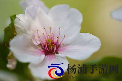 无人区精品一区二区三区使用方法|边境探索新趋势科技赋能安全保障