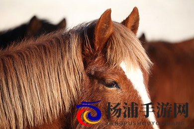 夜夜嗨AⅤ一区二区三区|夜夜畅享优质影视综合网