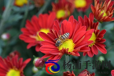 男人添女荫道口视频a|男子在隐秘处的精彩表演录像-3