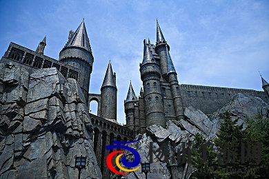 榴莲视频色板|热带水果视觉配色灵感宝典-2