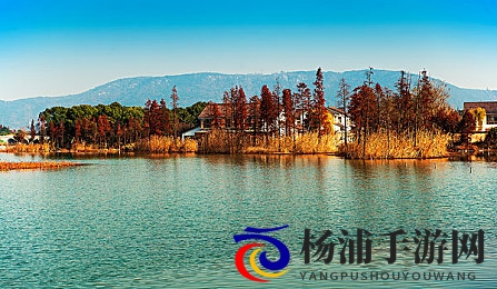 麻花传奇星空免费观看|未来影视资源免费获取新趋势