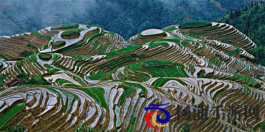 老头添女荫道口无遮挡|创新引领未来的沉浸式游戏体验