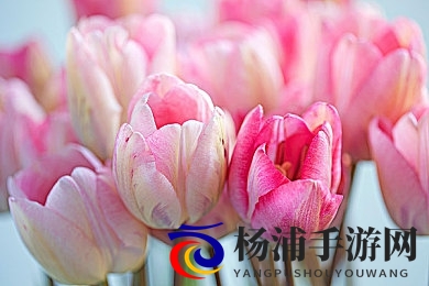 黑人大战欧美丰满艳星|多元文化背景下的成人内容新趋势-3