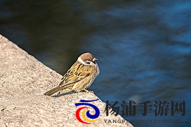 巨大根茎女同3d动漫|庞大生长女同幻想三维动画-3