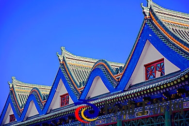 欧美毛茸茸|欧洲与美国的浓密绒毛风格-2