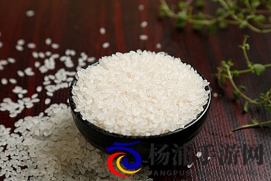 成人软件18|成年人专属应用18禁版本