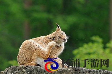 憋尿失禁(非常严格)|忍不住憋尿导致无法控制的尴尬场景-2