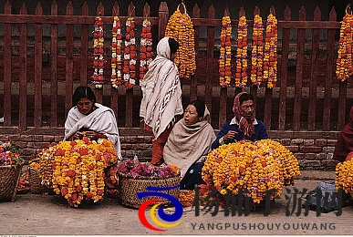 台湾妹中文娱乐网|台港精选华语娱乐频道