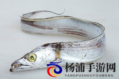 99热这里只有精|互联网内容升级追求卓越打造高品质生态