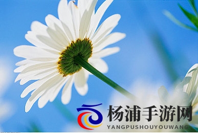 在野外被藏獒伦了一夜|极限生存战斗激发未知挑战