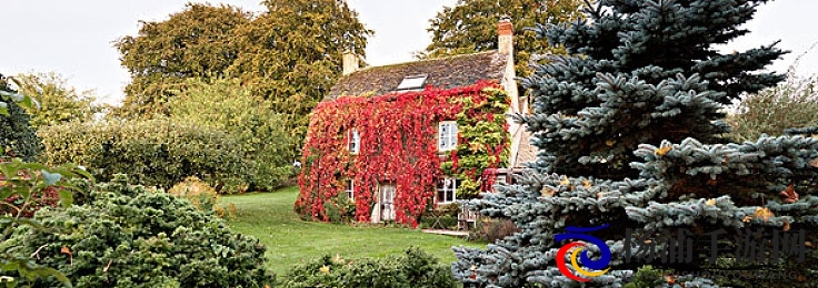 男男互摸jiji秘 无遮挡|男性之间的秘密亲密行为无遮挡展示-2