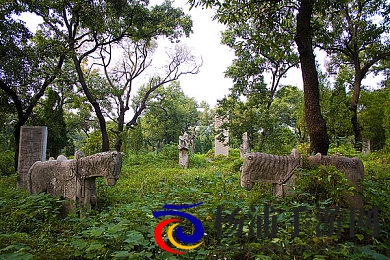 真人性做爰|真实体验情感交流技巧-2