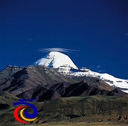 电影玛露的园丁|影院中玛露守护者的故事-3