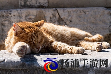 18+触摸互动游戏+黄油苹果|虚拟互动新潮流引领娱乐未来