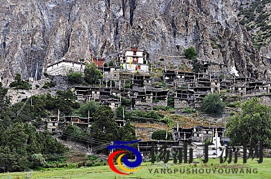 三上悠亚与渡边|女优组合的新合作引发关注-3