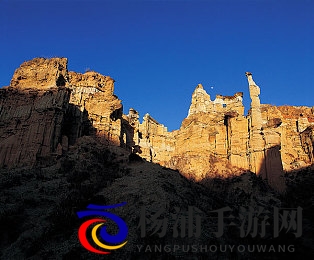 天天曰天天日天天干天天干天天射|网络热词背后的社会心理与文化符号-2