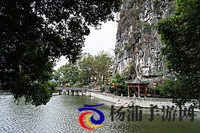 五月婷婷六月丁香|欣赏清新六月的芳香花海