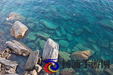 星空传媒苏清歌孟若羽|新时代下娱乐产业的变革与传奇崛起